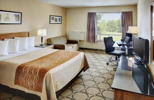 Downtown Gatineau Hotel | Comfort Inn Gatineau