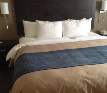 Waterloo Hotel | Comfort Inn & Suites Waterloo - Cedar Falls