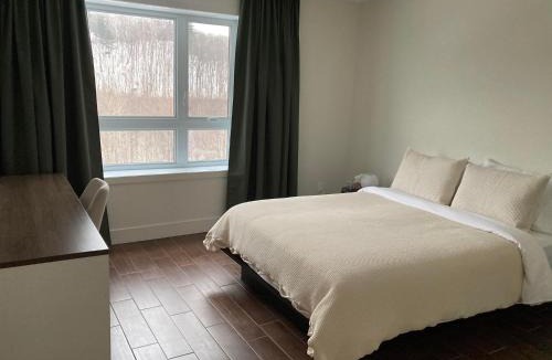 Saint-Romuald Apartment | Condo - La Suite