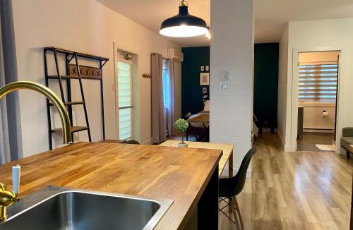 Saint Come Apartment | Condos St-Côme - Le Loft, au coeur des activités