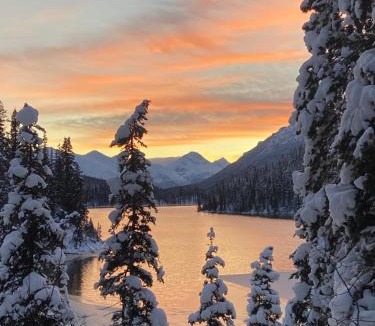 Stikine Region Ski Chalet | Cooks and Puppies Hideaway