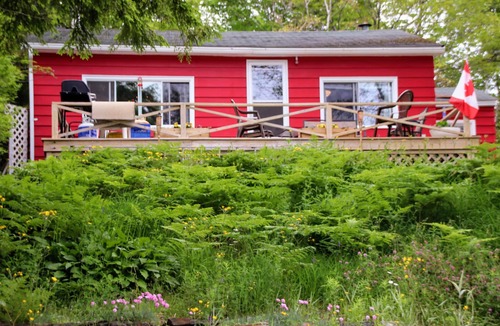 Gaetz Brook Cottage | Cottage Cheese Too: Quaint lakefront cottage 30 minutes from town on quiet cove.