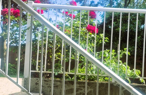 Guildford House | Cozy and Homey 2 BR Suite, 5 minutes to Highway 1 entrance.