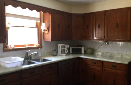 Lion's Head House | Cozy bungalow in the forest on the Bruce Peninsula. Pet friendly