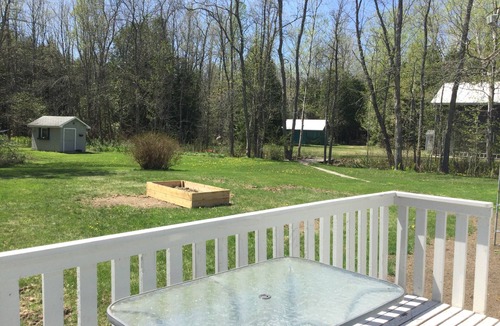Lion's Head House | Cozy bungalow in the forest on the Bruce Peninsula. Pet friendly
