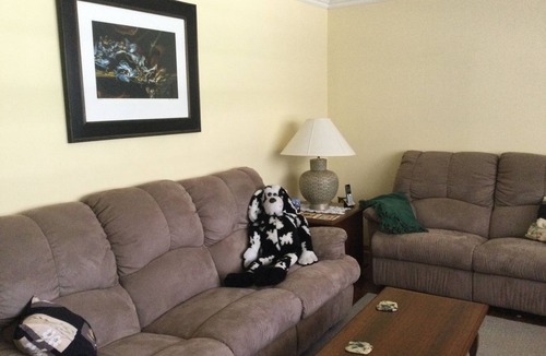 Lion's Head House | Cozy bungalow in the forest on the Bruce Peninsula. Pet friendly