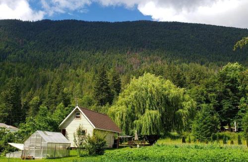 Tappen Ski Chalet | Cozy Cabin, 2 min to the HWY1