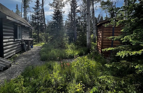 Sheridan Lake Cabin | Cozy cedar cabin on 2 acres at Sheridan Lake