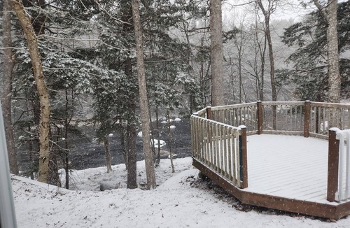Middle River Cottage | Cozy cottage by the river perfect for nature lovers & pet friendly