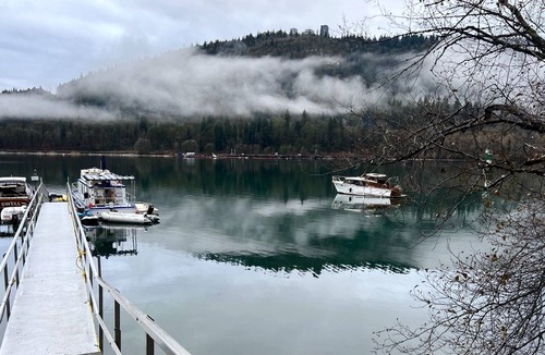 Port Moody Cottage | Cozy Cottage w. Ping Pong Table