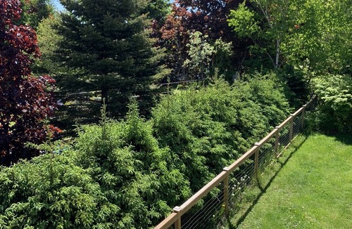 North River House | Cozy family home. Min to downtown, beaches, golf, and trails!