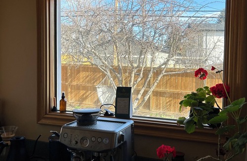 Northwest Calgary House | Cozy home in a quiet neighbourhood among old trees. 10 min drive to city centre.