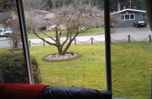 Cultus Lake House | Cultus Lake Paradise In the Park, Large and big backyard with a large fire pit!