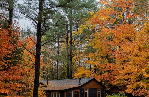 Utterson Cabin | Doma Lodge - Cozy Muskoka Cabin in the Woods