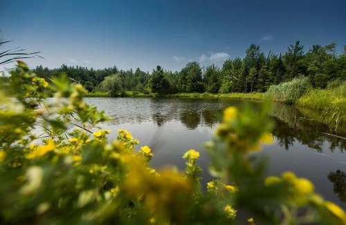 Lac-Brome Hotel | Domaine Jolivent