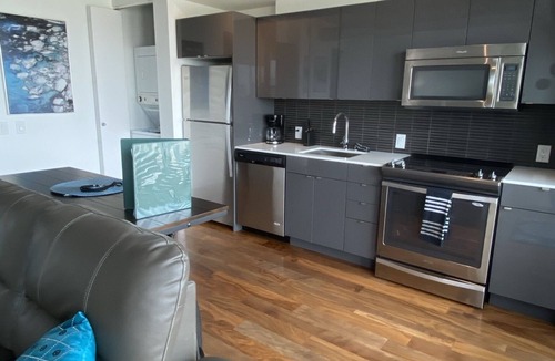 Downtown Winnipeg Apartment | Downtown luxury 1 bedroom sleeps 3 wifi and laundry