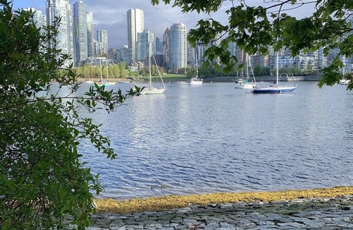 Southeast False Creek Condo | Downtown Vancouver (Olympic Village), free parking, gym, A/C, close to transit