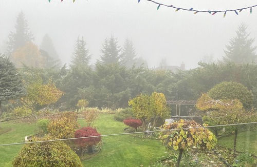 West Porpoise Bay House | Dreamy House on Sunshine Coast with a Cozy Patio