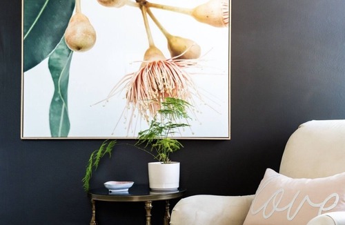 Collingwood House | Driftwood on 6th in Historic Downtown Collingwood/Pet Friendly