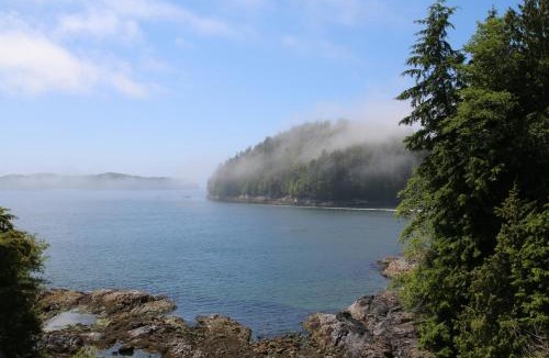 Tofino Resort | Duffin Cove Resort