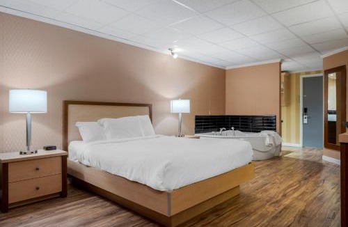 Montmagny Regional County Municipality Hotel | Econo Lodge Inn & Suites