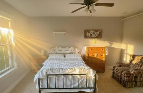 Lower Montague Hostel | EcoSun Hostel - Female-Only