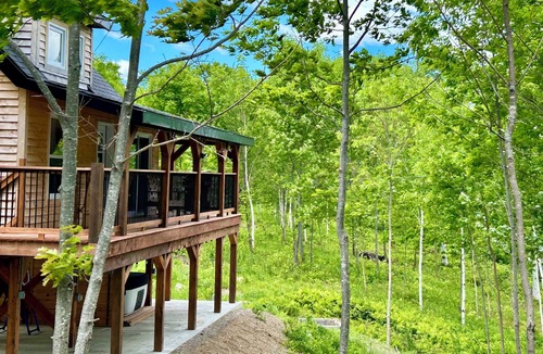 Canterbury Cabin | Elevated cabin nestled among the trees, and the Saint John River. Pet friendly.n