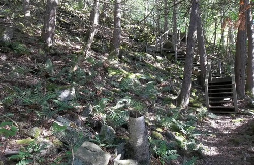 Frontenac Cottage | Enjoy Buck Lake with your pets!nn