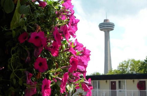 Fallsview Hotel | Fairway Inn by the Falls