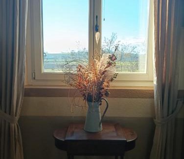 Chieri Bed & Breakfast | Florario B&B