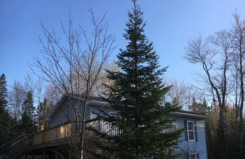 Amherst Cottage | For all ages to be together but have lots of space and fun!