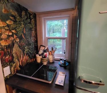 Central Kootenay House | Forest Nook