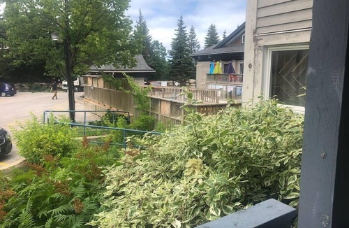 Craigleith Condo | Freshly Upgraded Cozy Studio @ North Creek Resort