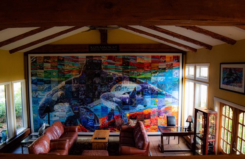 Sturdies Bay Hotel | Galiano Oceanfront Inn & Spa