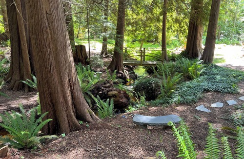 Roberts Creek Cottage | Getaway Cottage in Roberts Creek: Relax by the Beach & Forest, Art studios.