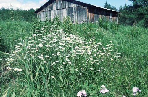 Notre-Dame-des-Monts Bed & Breakfast | Gite Pousse Pioche