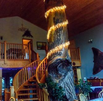 Golden Cabin | Glenogle Mountain Lodge and Spa