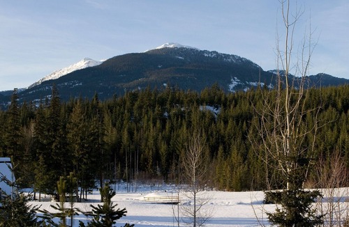 Blackcomb House | Golf Getaway w/ Hot tub, Parking