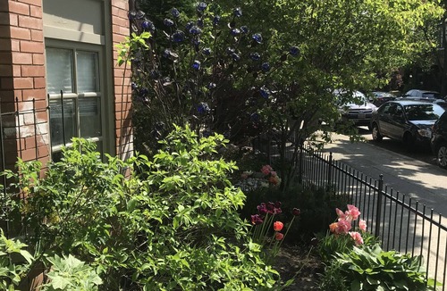 Cabbagetown House | Gorgeous Downtown Property, Private Yard