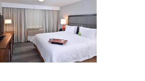 Banff Trail Hotel | Hampton Inn & Suites by Hilton Calgary University NW