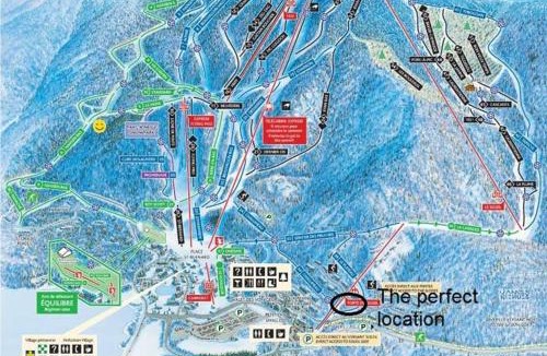 Mont-Tremblant House | Hauts-bois Ski Inout 2brs Wpool Access 197-4