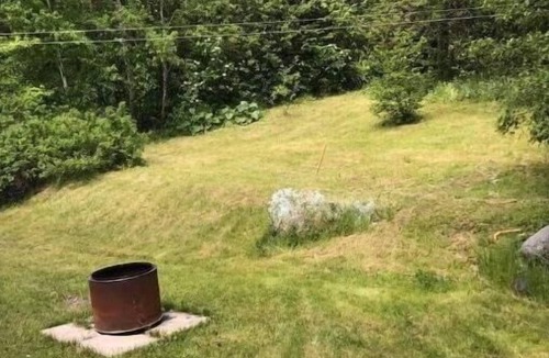 Lewisporte Apartment | Hillgrade Haven