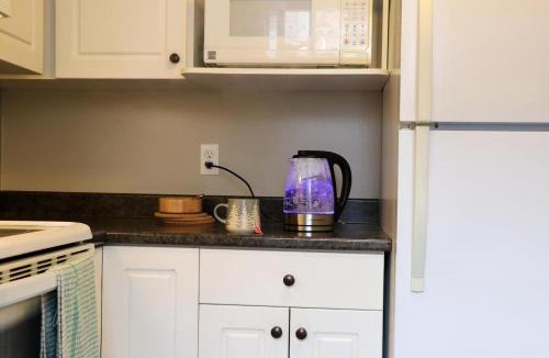 Downtown Apartment | Hiltz House Cellar Suite Near Halifax Ferry