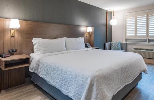 York - Haig Hotel | Holiday Inn Hotel & Suites St.Catharines-Niagara by IHG