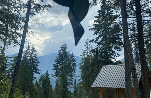 Golden Cabin | Hummingbird Haven Charming Cabin in the Mountains