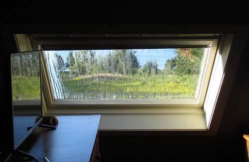 Wood Islands Cottage | In Need Of Vitamin Sea? We’ve Got You Covered