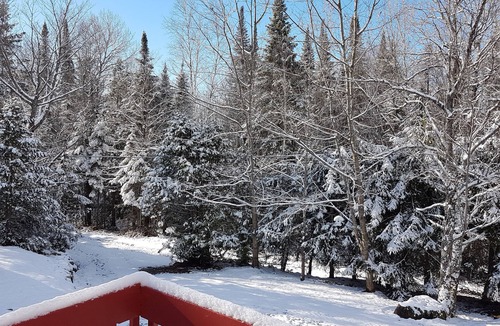 Entrelacs Ski Chalet | Intimate 4 season chalet in Lanaudière Quebec WIFI FIREPLACE terrain privé + lac