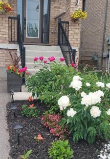 Winona House | Jahsavvy's Nest
