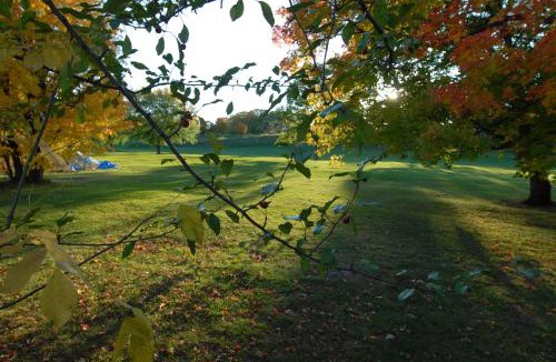 Orillia Hotel | Kings Inn Orillia