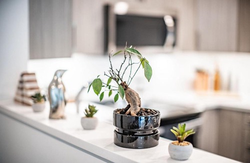 Revelstoke Apartment | L'Austin Reve by Revelstoke Vacations